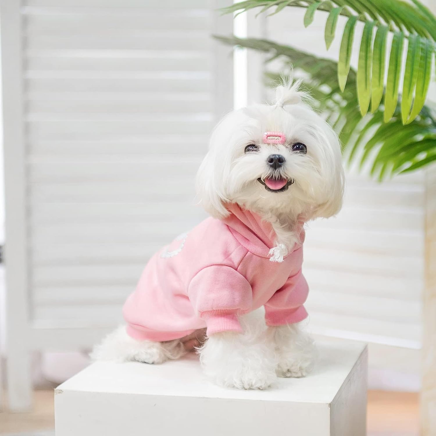 EXPAWLORER Prinecss – Sudadera con capucha para niña, suéter con capucha para perro con agujero para correa, ropa para clima frío para perro,