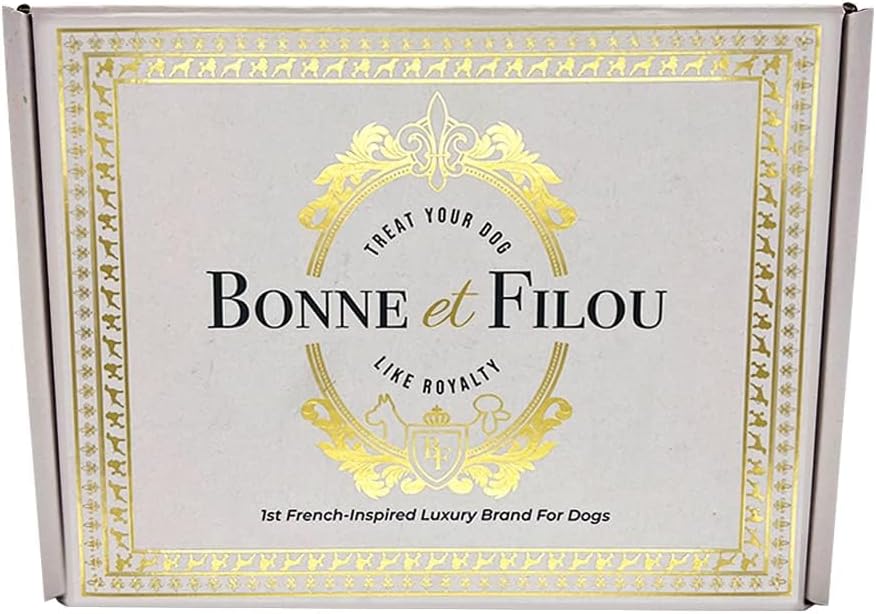 Bonne et Filou – Caja de regalo de golosinas para perros con temática de Get Well Soon – Golosinas gourmet de lujo para perros, 21 golosinas