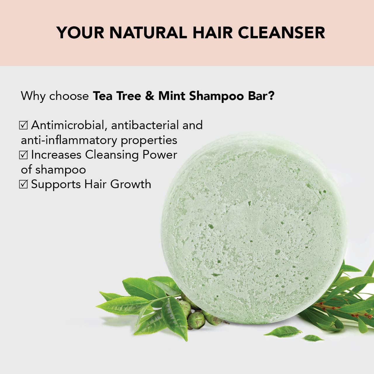 Kitsch Barra de champú de árbol de té y menta y botella gratis bolsa de jabón de belleza con descuento