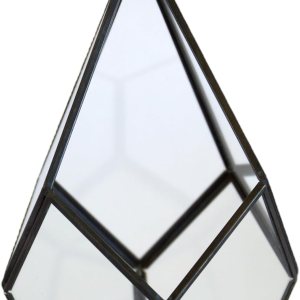 Cute Farms Cristal de terrario – Exhibición moderna de plantas para suculentas, plantas de aire, jardín en miniatura y decoración del hogar y la Cute Farms Cristal de terrario – Exhibición moderna de plantas para suculentas, plantas de aire, jardín en miniatura y decoración del hogar y la