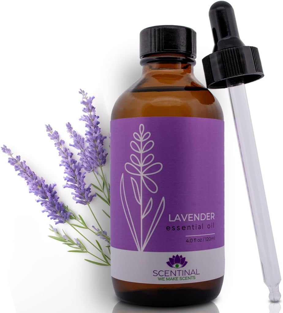 Aceite esencial de lavanda Scentinal  100% puro, natural y sin diluir  Botella extragrande de 4 onzas (4.1 fl oz) con cuentagotas  Experiencia