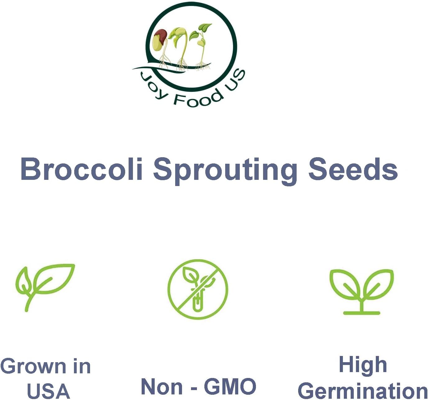 1 libra  Semillas de brote de brócoli cultivadas en Estados Unidos  Semillas de brócoli sin OMG para brotar en bolsa de pie  Semillas vegetales de