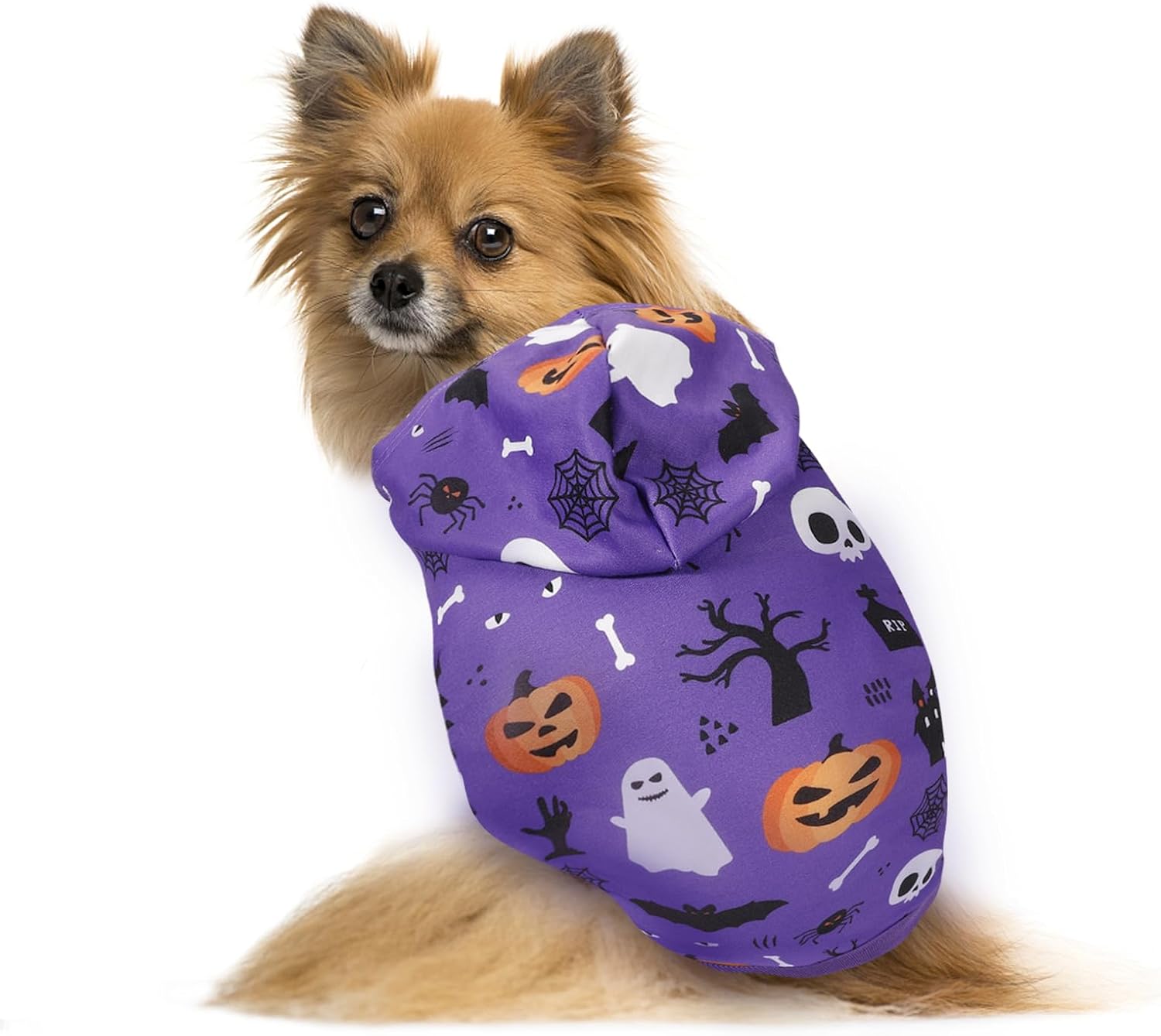 Disfraz de Halloween con capucha para mascotas sudadera para cachorro, calabaza, perro, ropa cálida de murciélago fantasma, ropa para gatos con