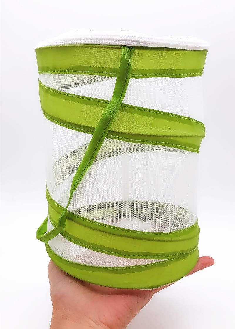 Mini jaula de malla para insectos y hábitat de mariposas y orugas, terrario de insectos emergente de 5.5 x 7 pulgadas de alto para niños