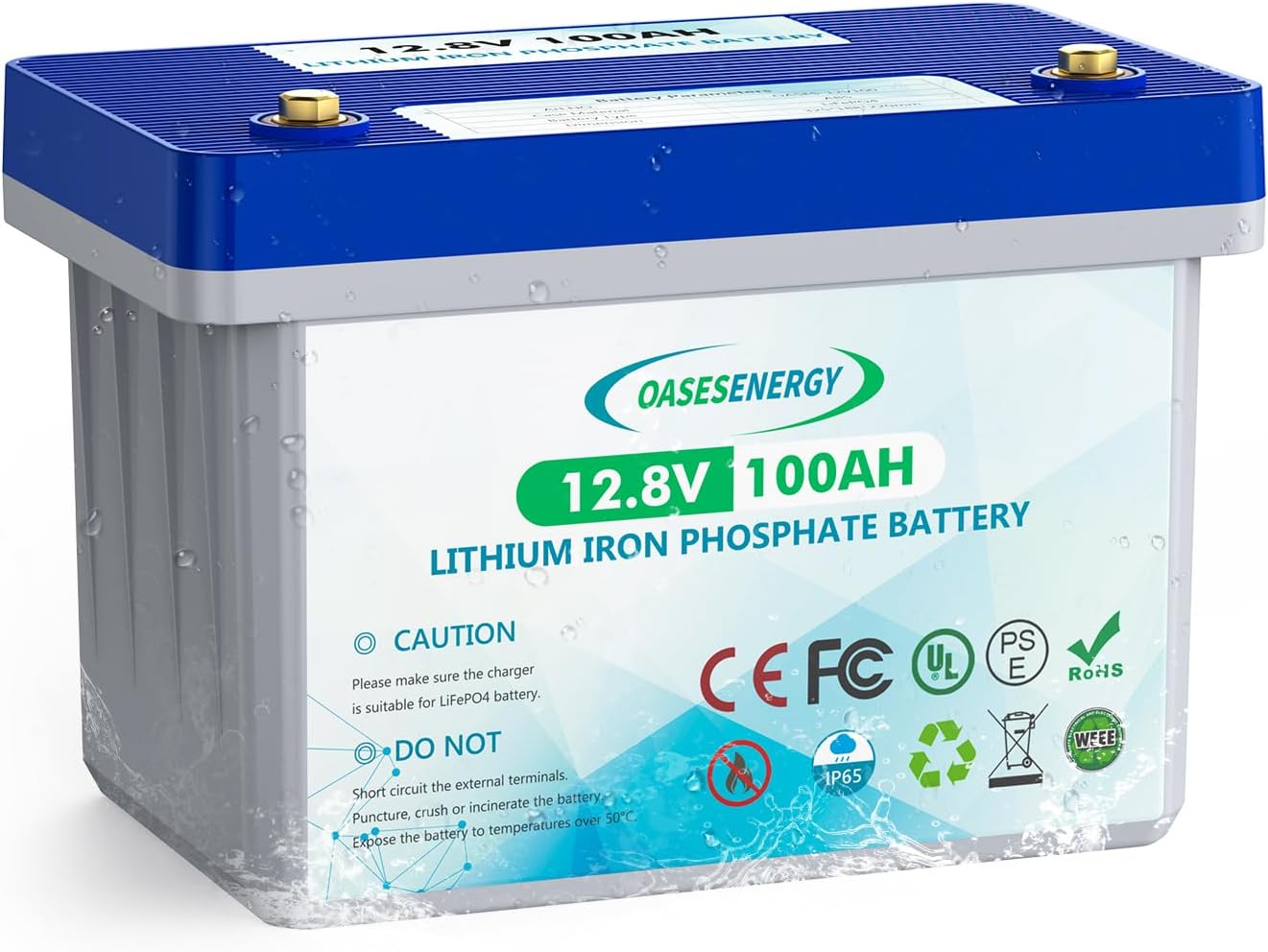 Oasesenergy Batería LiFePO4 de 12 V 100 Ah, batería de litio de ciclo profundo integrada 100 A BMS, hasta 15000 ciclos, perfecta para viajes en RV,