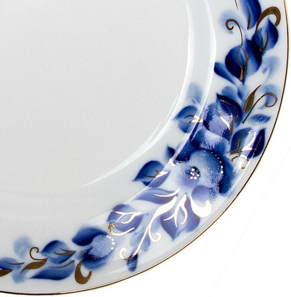 NJSV – Platos de porcelana de 9.4 pulgadas, juego de 6 platos de vajilla, juegos de platos y cuencos, juego de platos, platos llanos, juego de