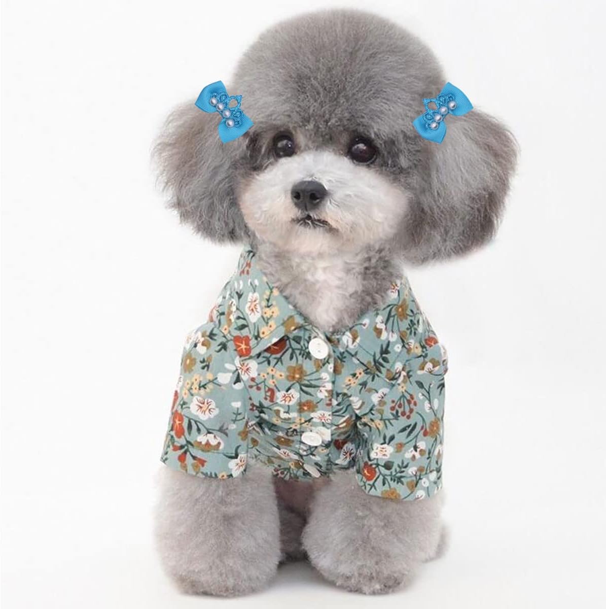 20 pinzas para el pelo de la corona para mascotas, pinzas de perro para el pelo, pinzas de pelo de gato, pinzas de pelo de mascotas en forma de