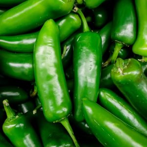 120 semillas de pimienta orgánica Jalapeño M Heirloom Non-GMO Garden Vegetable Bulk Survival 120 semillas de pimienta orgánica Jalapeño M Heirloom Non-GMO Garden Vegetable Bulk Survival