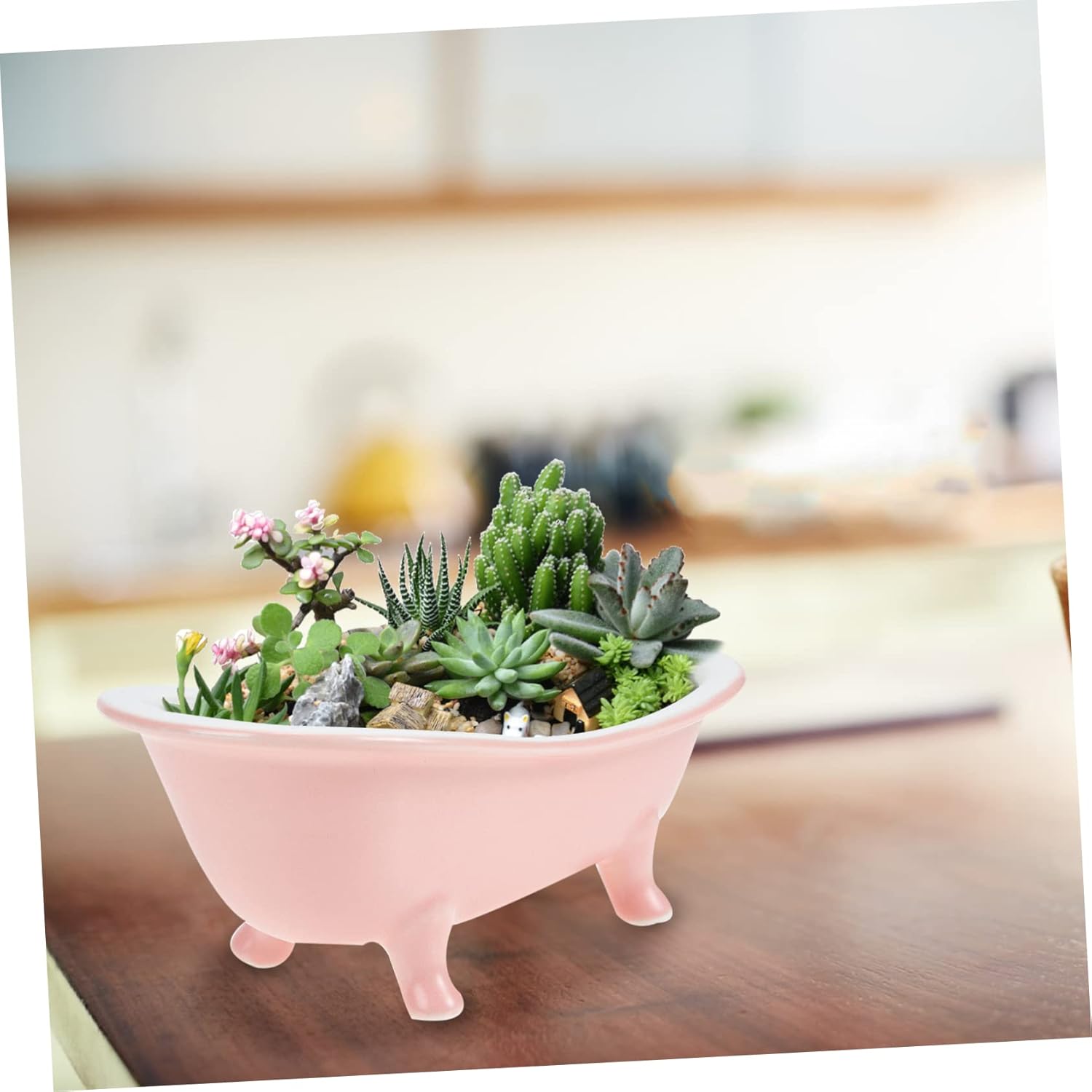 Macetas suculentas para plantas de interior, decoración de aparador, maceta de bañera, contenedor de plantación, maceta con patas de garra, maceta