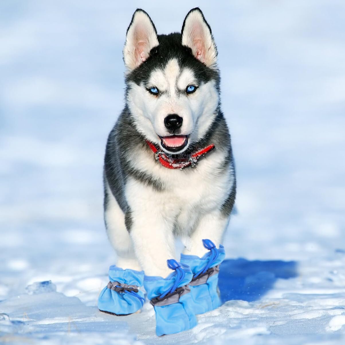 UKCOCO Zapatos de perro para perros pequeños a medianos, botines de perro, protector de patas para pavimento caliente, botas de senderismo de nieve