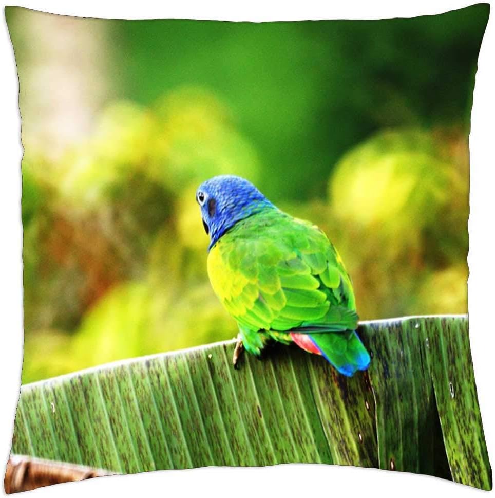 Funda de almohada (16×16 pulgadas) – Variedad Paisajes Axis Café Quindio Colombia 2