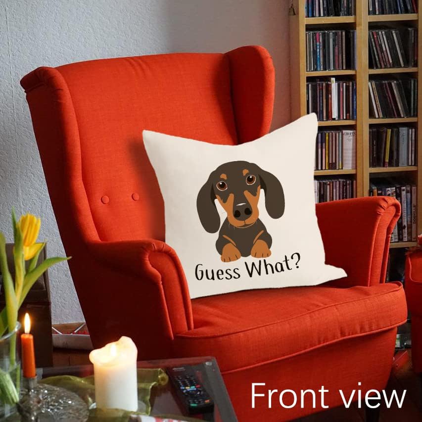 Fundas de almohada reversibles de perro salchicha  Regalos de perro salchicha para mujeres, regalos de perro Wiener, almohadas decorativas para