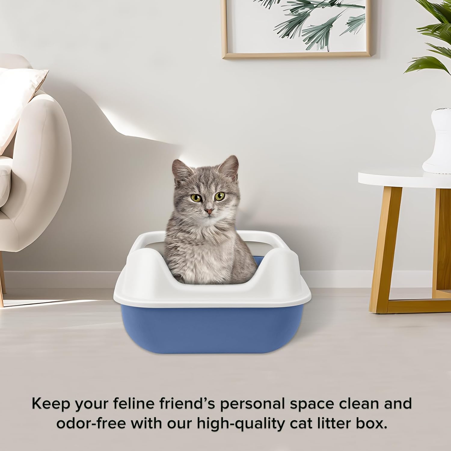 KittyClean – Caja de arena para gatos XL con estante de control, caja de arena XL para gatos grandes, caja de arena extragrande para varios gatos
