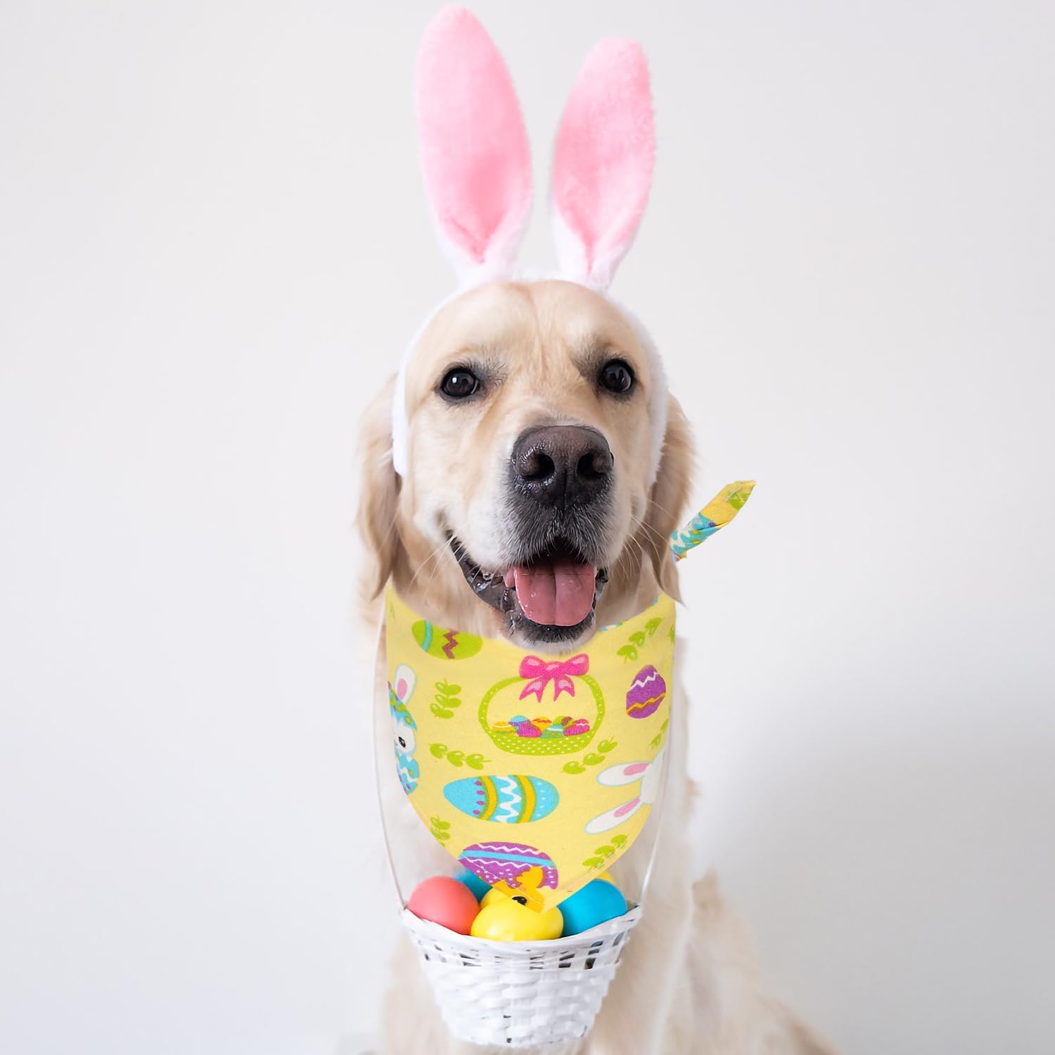 2 pañuelos de Pascua para perro, bufanda colorida de Pascua para perro, cómoda y bonita, conejo, elementos de conejo, bandana para mascotas,