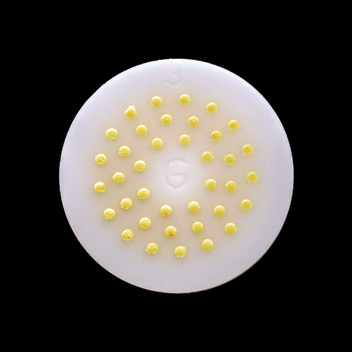 Discos en forma de pasta aptos para máquina automática de pasta y fideos Philips, accesorio para máquina de pasta Philips, electrodomésticos de
