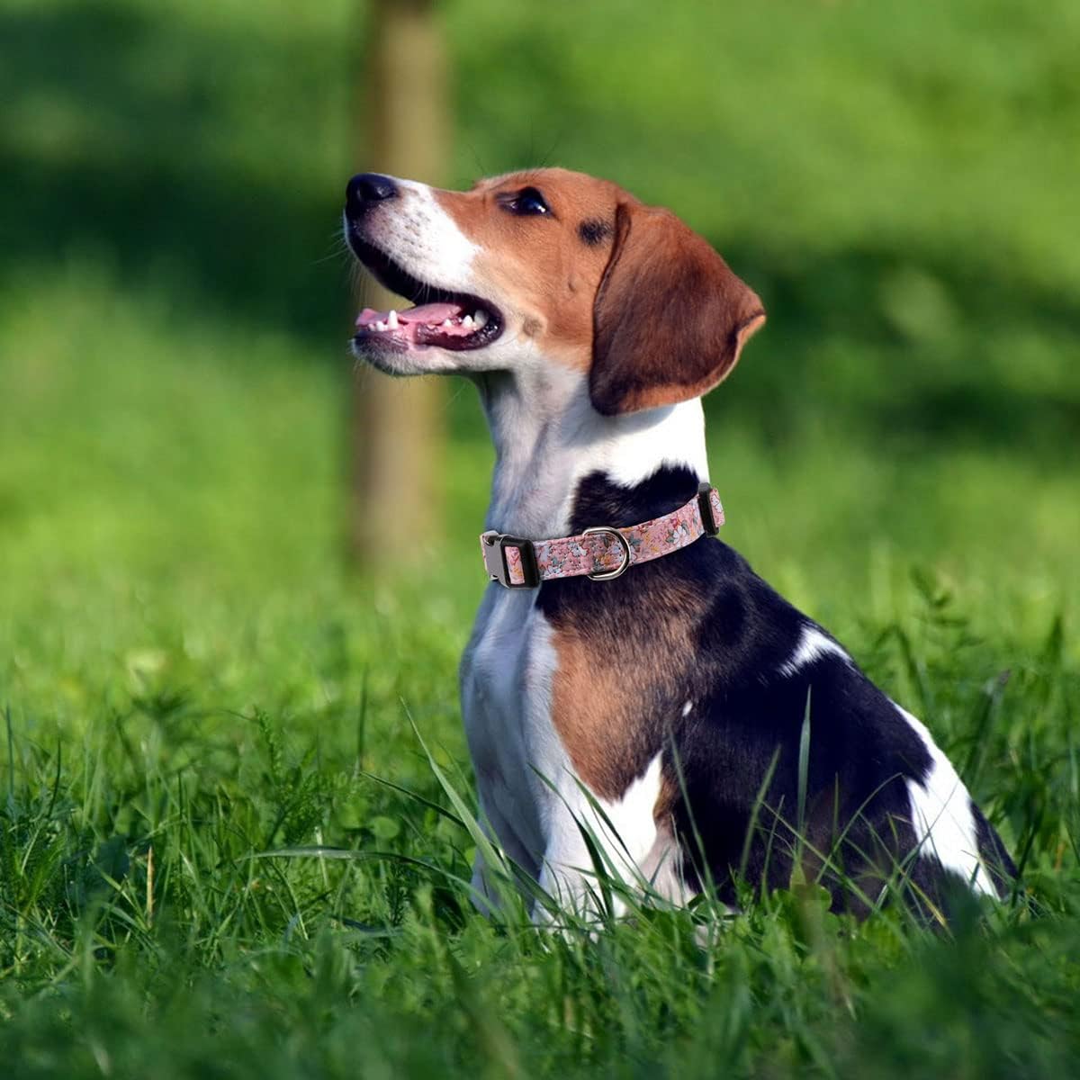 XYART Collar para perros pequeños, medianos y grandes, collar de algodón para mascotas, patrones de margaritas y rosas con hebilla de liberación