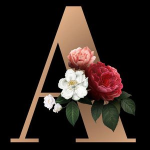 YALKIN Kit de pintura de diamantes 5D para adultos, arte de diamantes 5D personalizado, arte de diamantes redondo completo, arte para decoración de YALKIN Kit de pintura de diamantes 5D para adultos, arte de diamantes 5D personalizado, arte de diamantes redondo completo, arte para decoración de