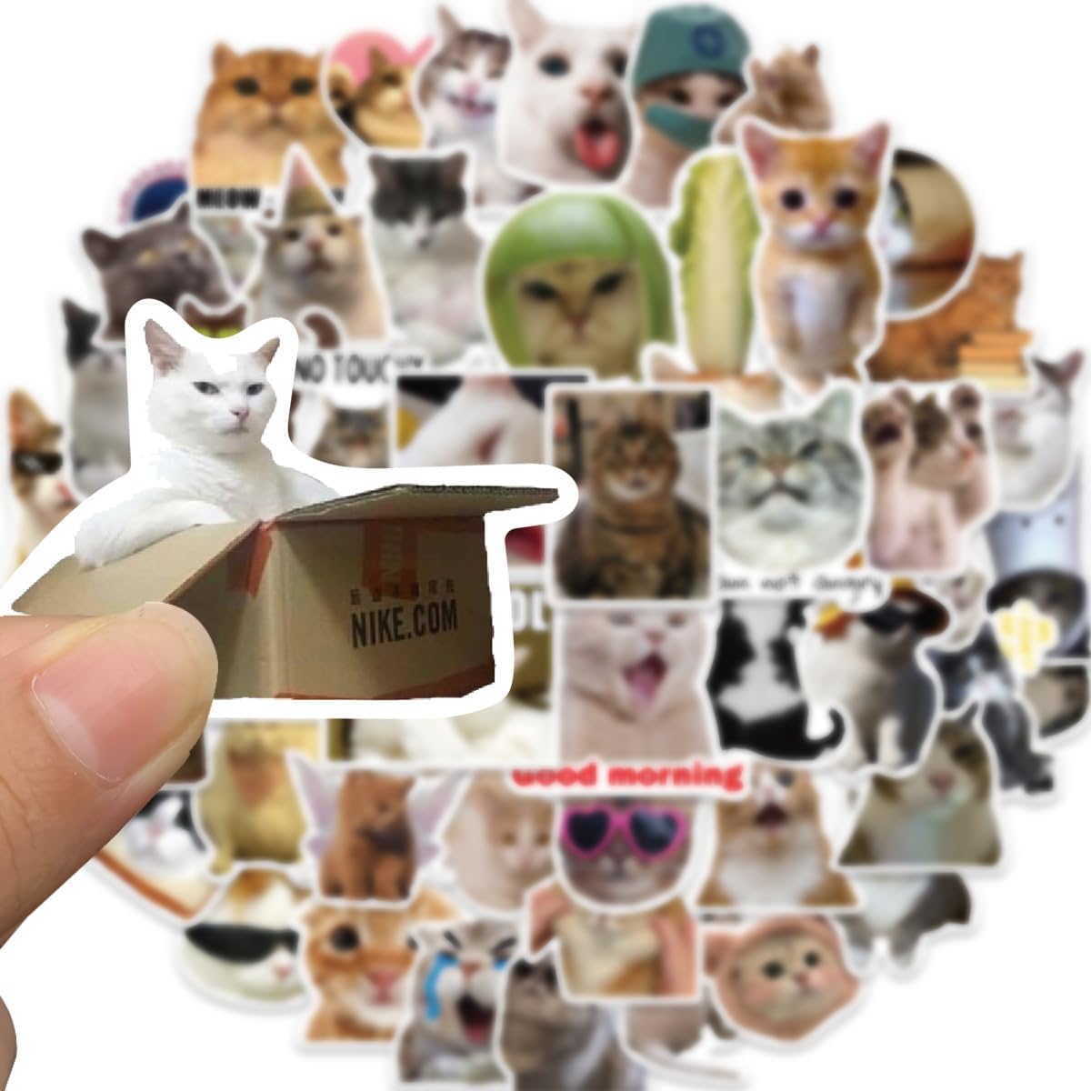50 calcomanías de gatos bonitos, divertidas calcomanías de meme de gatos para niños, adolescentes y adultos, calcomanías de vinilo impermeables para