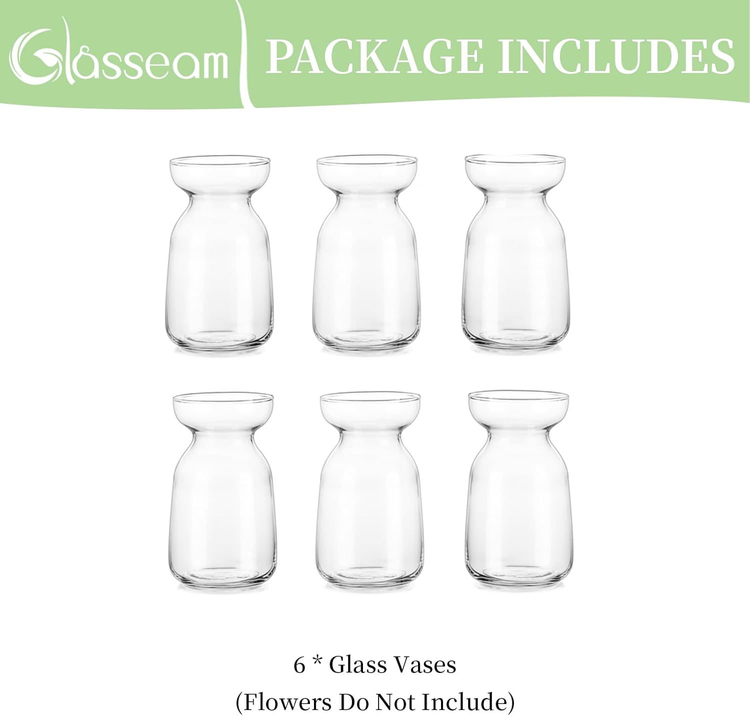 Glasseam Jarrón de cultivo de bulbos de jacinto, moderno juego de 6 jarrones de cristal para centros de mesa, jarrón hidropónico para tulipanes de