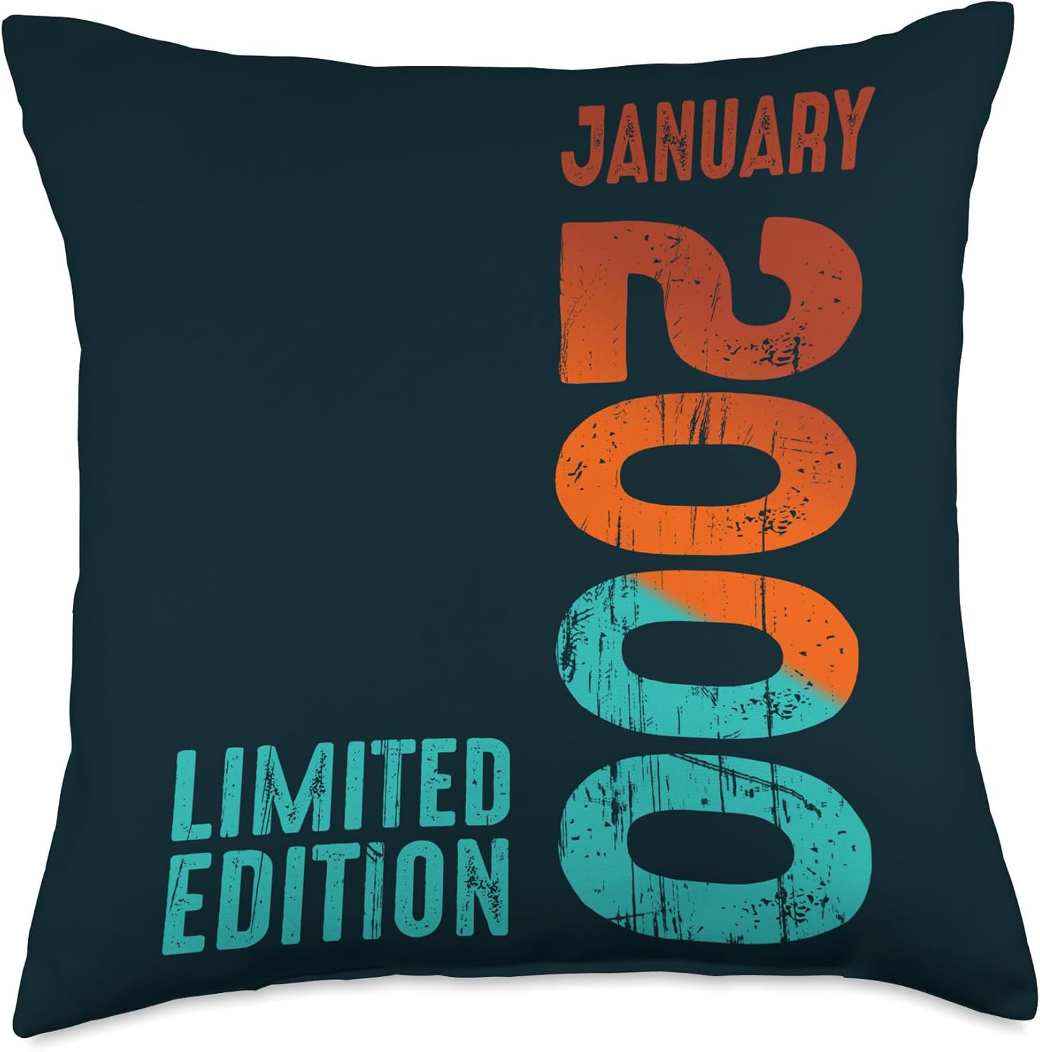 Limited Edition January Year Retro 2000 Throw Pillow, 18×18, Multicolor