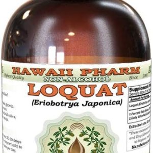 Níspero, tintura de Pi Pa Ye (Eriobotrya Japonica), extracto líquido de hoja seca, níspero, suplemento herbario de glicerita, 2 onzas Níspero, tintura de Pi Pa Ye (Eriobotrya Japonica), extracto líquido de hoja seca, níspero, suplemento herbario de glicerita, 2 onzas