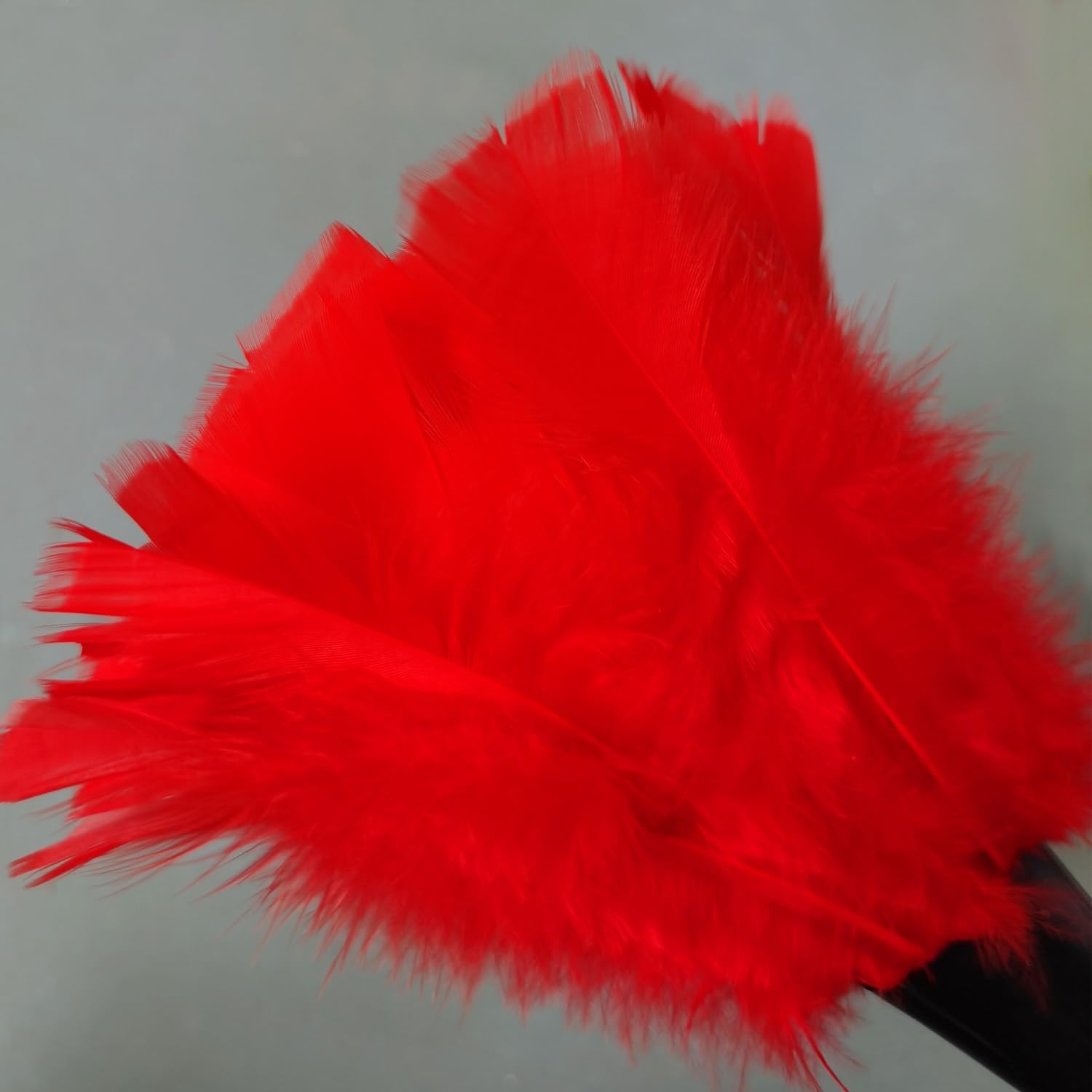 Plumeros de plumas de pavo para limpiar el hogar, persianas, cocina, coche, oficina, ecológicos y reutilizables (2 unidades, rojo)