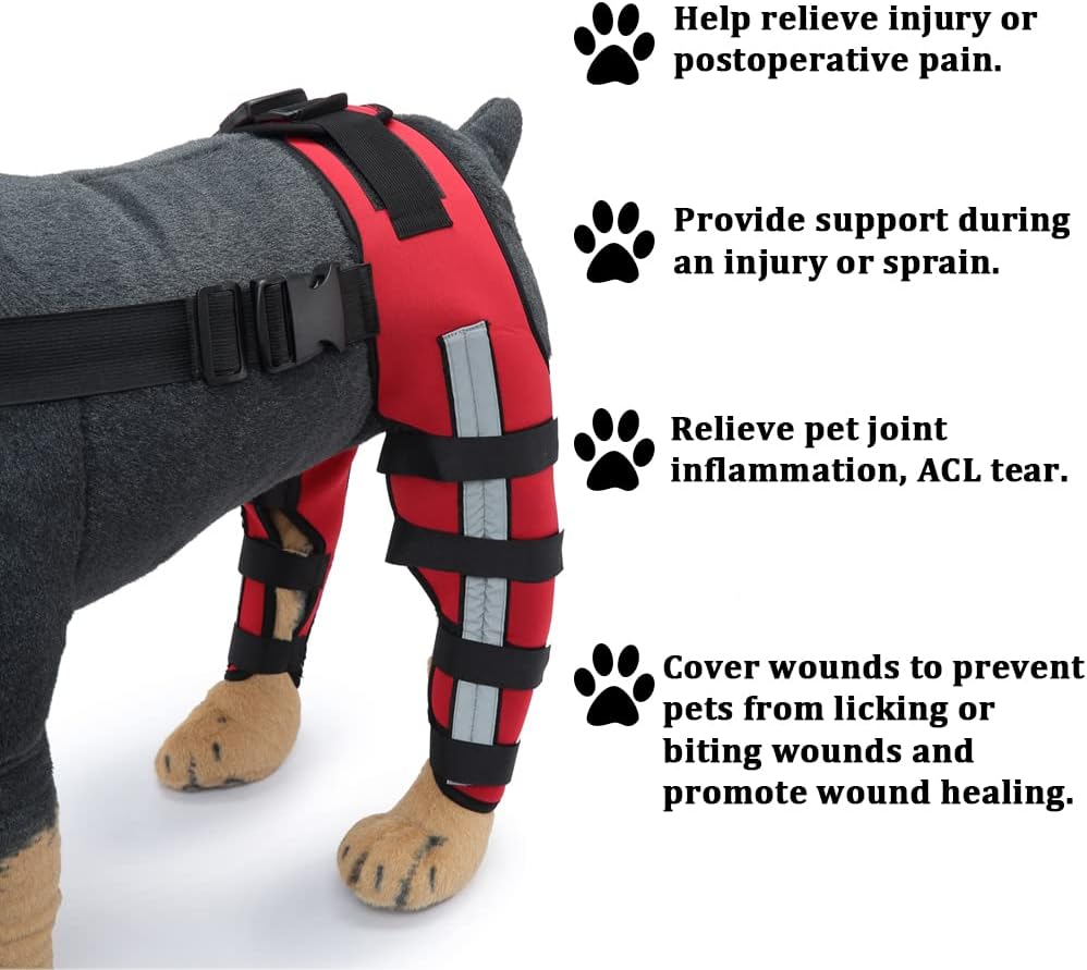 Rodillera ajustable para perro con doble pierna trasera con bisagras de metal soporte flexible y cinturones de seguridad reflectantes, soporte para