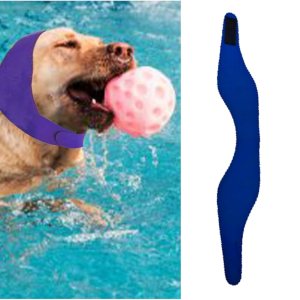 MANON ROSA Tapones para gorro de natación para perro, 2 unidades, impermeable, para todo tipo de clima, para bañarse en días lluviosos  Protector de MANON ROSA Tapones para gorro de natación para perro, 2 unidades, impermeable, para todo tipo de clima, para bañarse en días lluviosos  Protector de