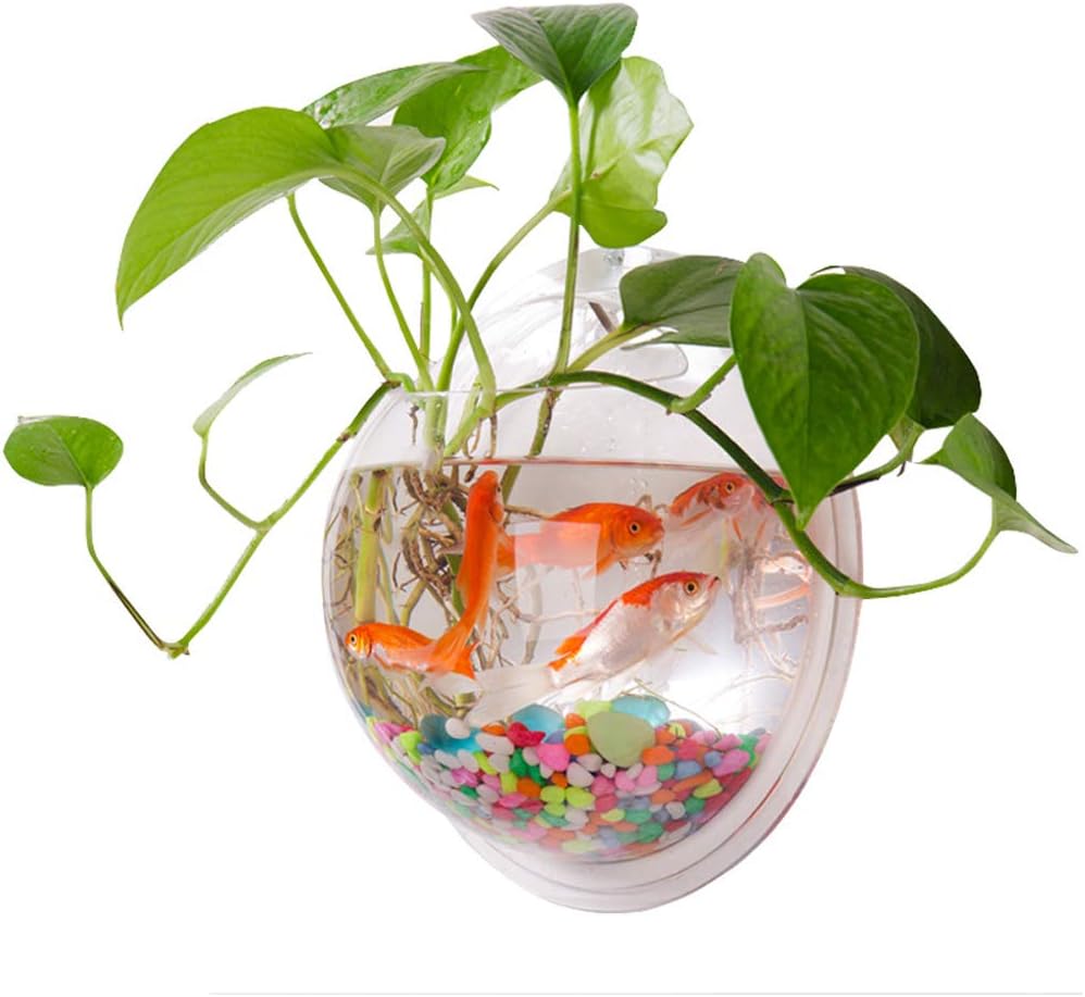 Pescado colgante de pared Pescado acrílico Pescado colgante Contenedor decorativo colgante Acuarios Tanques de burbujas de acrílico transparente