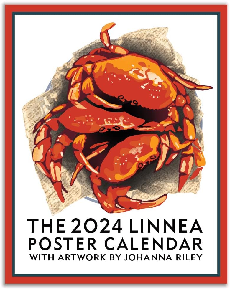 Linnea Design Calendario de póster 2024, 11 x 14 pulgadas, ilustraciones de Johanna Riley
