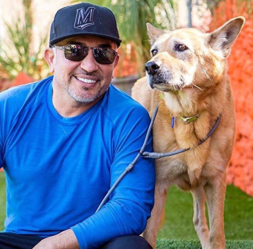 Cesar Millan Correa deslizante para perro, correa de entrenamiento (regular, gris)
