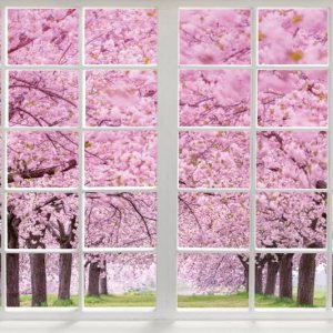 AWERT Telones de fondo de paisaje de primavera de 5 x 3 pies para fotografía, flores rosadas, cerezo, jardín, bosque, parque, país de las AWERT Telones de fondo de paisaje de primavera de 5 x 3 pies para fotografía, flores rosadas, cerezo, jardín, bosque, parque, país de las