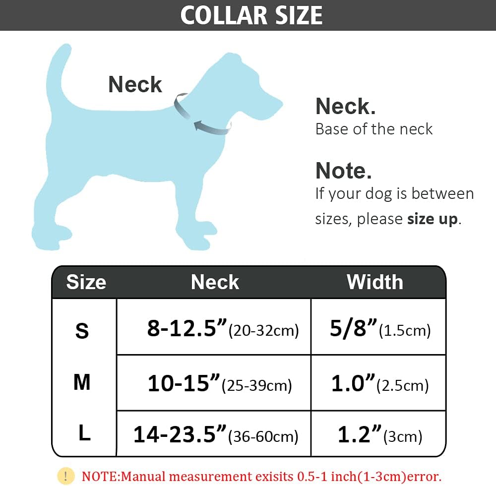 Didog Juego de collar y correa para perro personalizado y suave con relleno de franela, collar reflectante grabado con correas de 4 pies para perros