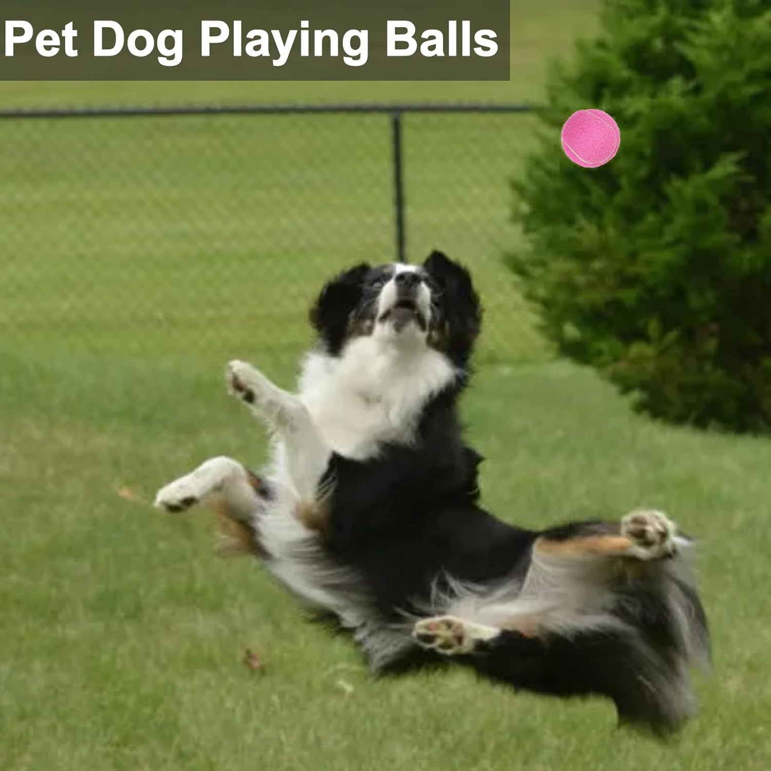 Pelota de tenis, paquete de 36 pelotas de tenis para perros, pelotas de tenis de práctica vienen con bolsa de pelotas, buenas para entrenar, jugar,