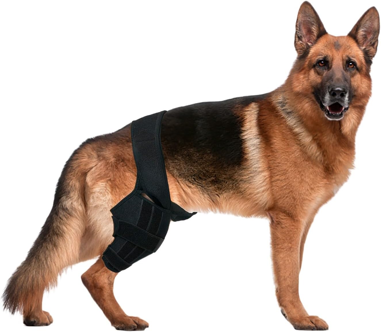 Rodillera para perro, lesión del ligamento cruzado de la pierna trasera para desgarro del ligamento cruzado anterior CCL, dolor articular e