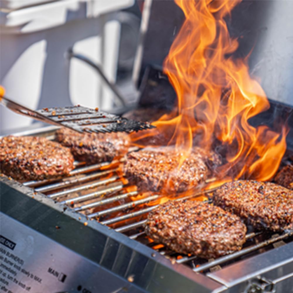 Monument Grills Parrilla de gas propano de mesa para acampar portátil al aire libre Cocinar con cubierta de barbacoa (2 artículos)