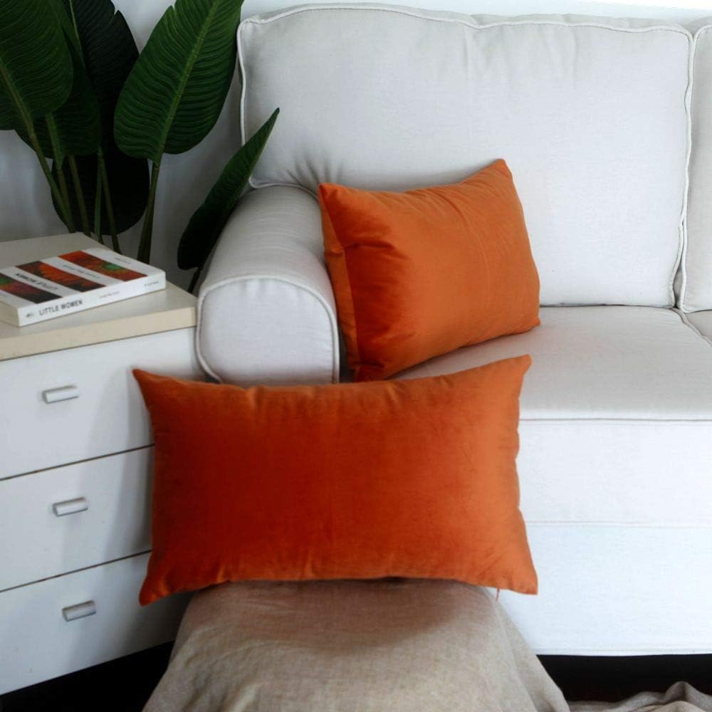 Artcest – Juego de 2 fundas de terciopelo para cojines decorativos, fundas para cojines decorativos sólidos para sofá y cama