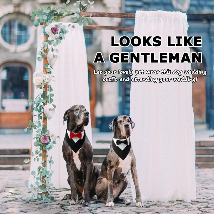 Disfraz formal de esmoquin para perro, para boda, para cumpleaños, para cachorro, con corbatín, ajustable, para mascotas, cuello de moño, para