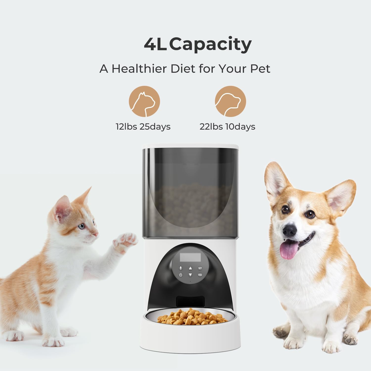 Alimentadores automáticos para gatos, comedero cronometrado para gatos de 4 litros con cuencos elevados, dispensador automático programable de