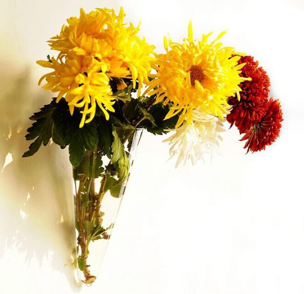 Florero de cristal para colgar en la pared, jarrón de vidrio en forma de cono, maceta suculenta, terrario de vidrio, jarrón de flores, estaciones de