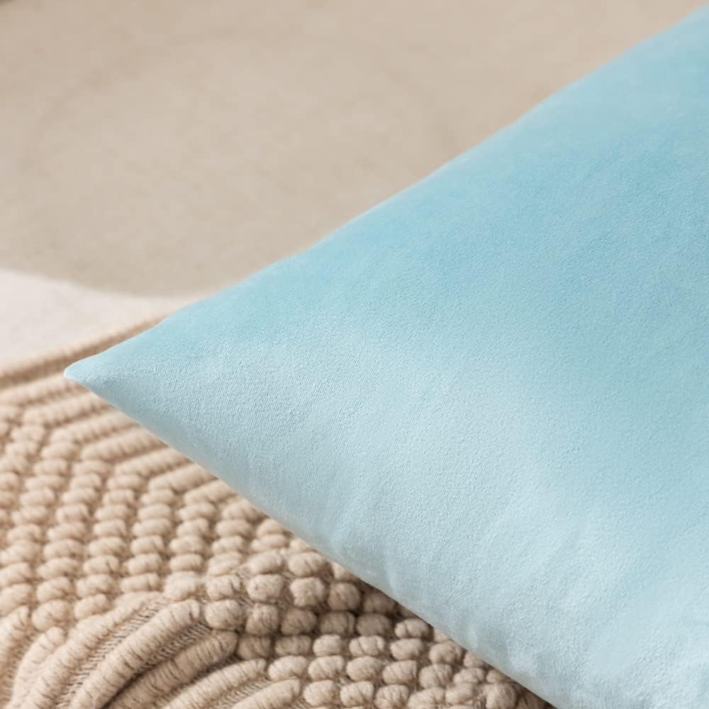 Paquete de 4 fundas de almohada de terciopelo, fundas de almohada suaves de 18 x 18 pulgadas, almohadas para decoración del hogar (20 x 20 pulgadas,
