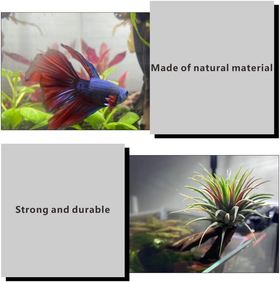 5 piezas de madera flotante para acuario de madera flotante, decoraciones de pecera, ramas de madera maciza de reptiles para pecera, escondite de
