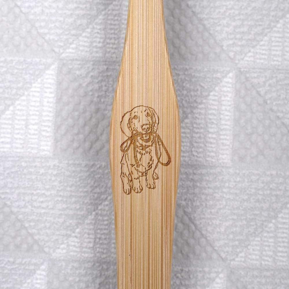 ‘Golden Retriever Puppy Holding Lead’ Bamboo Toothbrush (TF00018880)