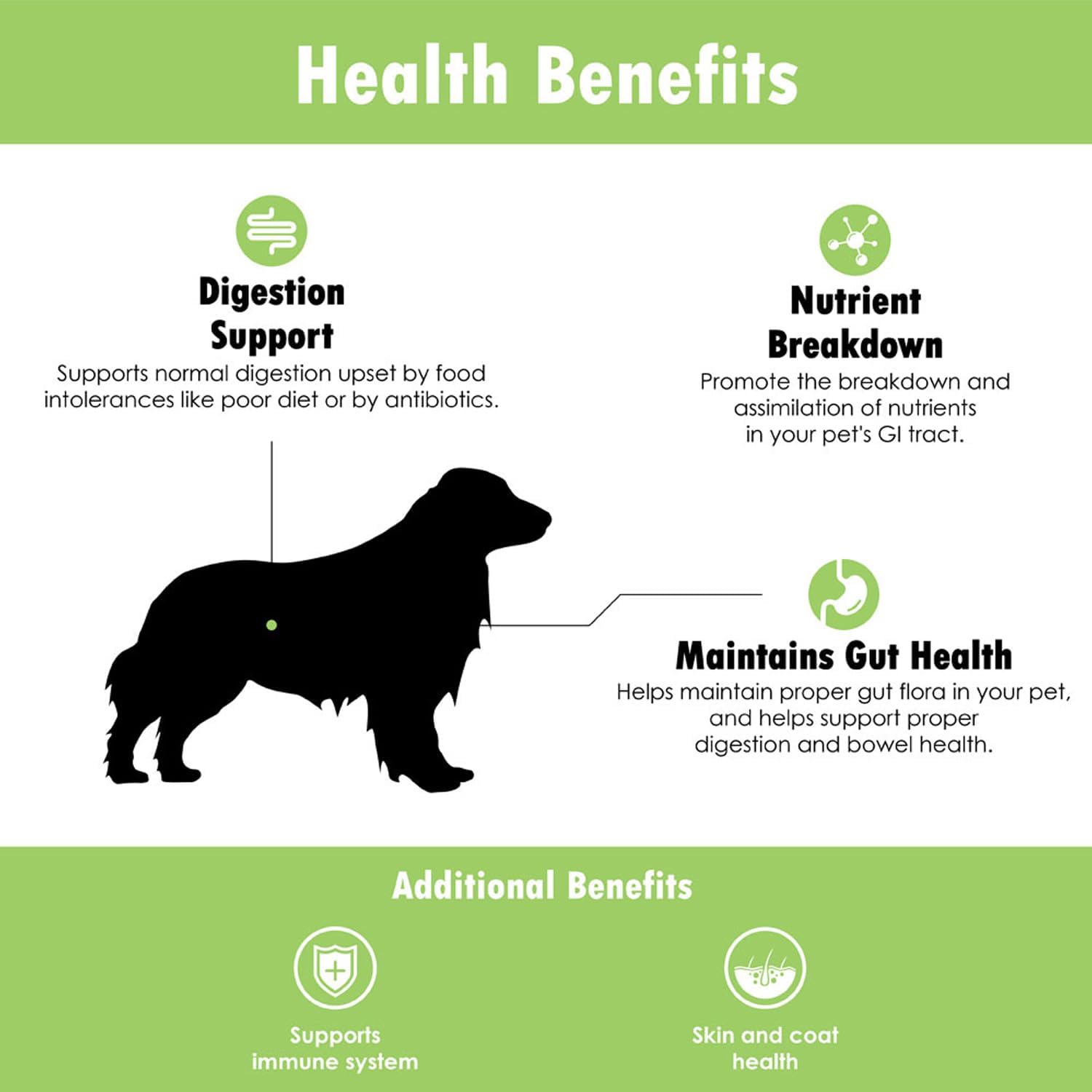 Probióticos Proflora para perros salud intestinal completa y apoyo inmunológico. Probióticos digestivos de múltiples cepas fáciles de usar.