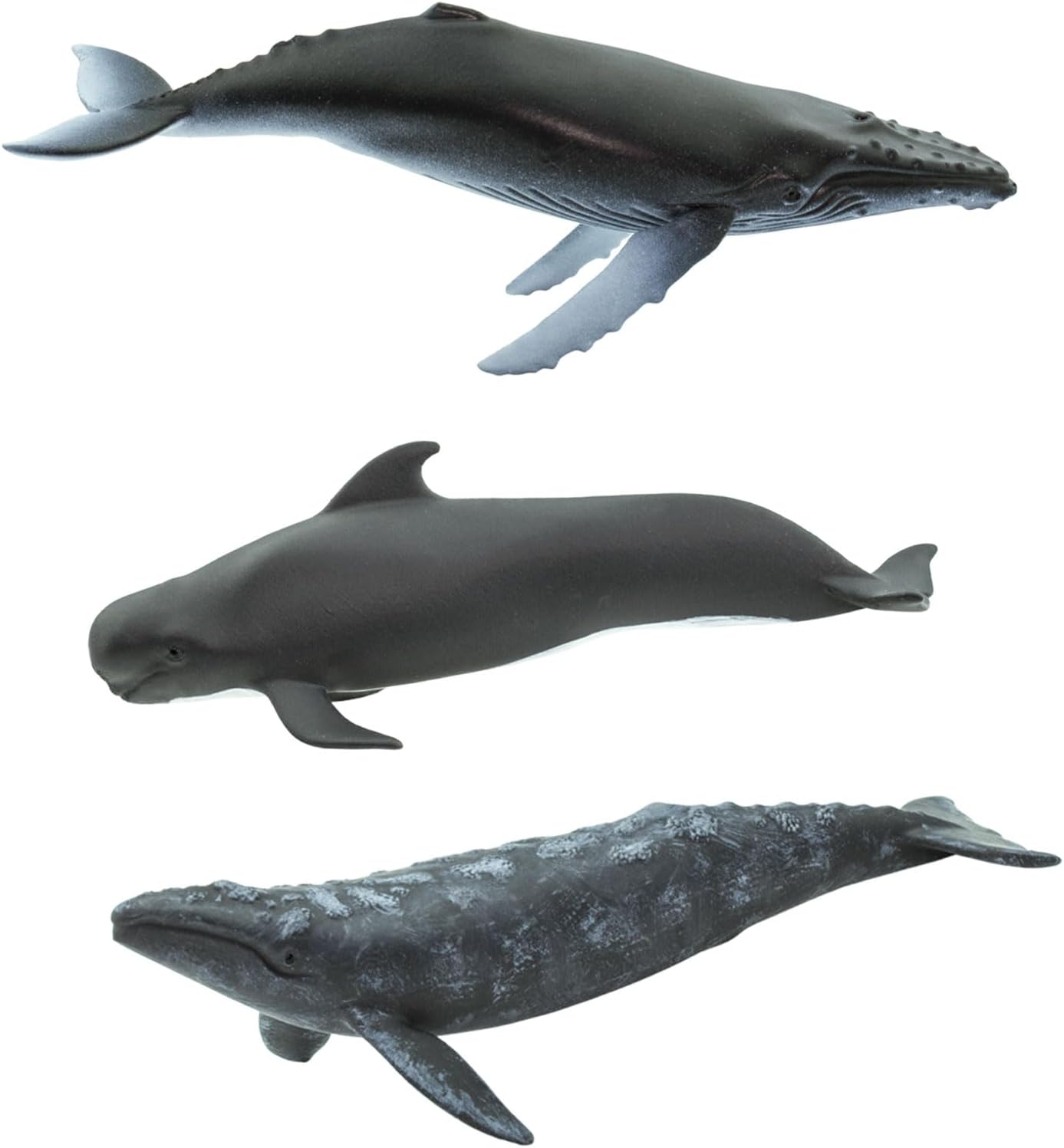 Safari Ltd. Whale TOOB – Juego de figuras detalladas de plástico de 2.5 a 4 pulgadas, divertido juguete educativo de animales oceánicos para niños,