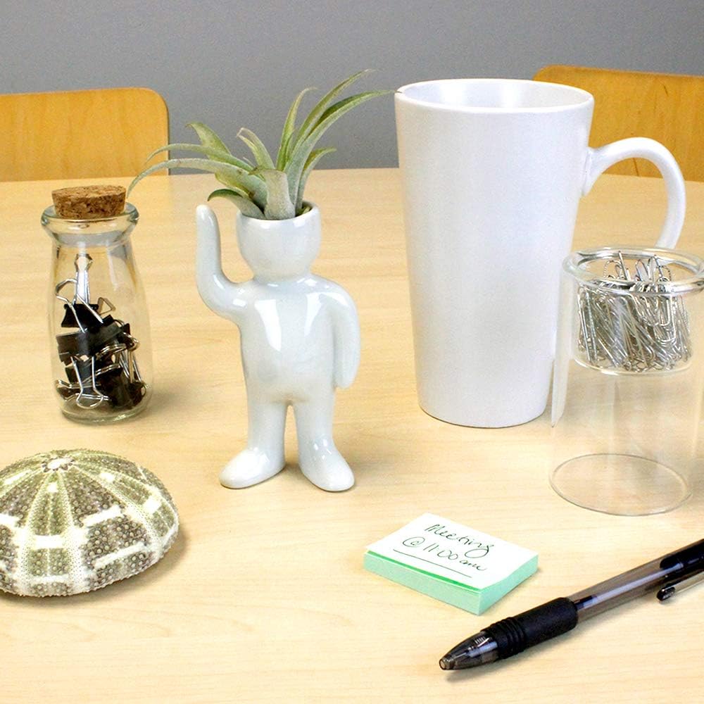 NW Wholesaler Maceta en forma de persona de cerámica blanca de 4.75 pulgadas con planta de aire Tillandsia viva, plantas de aire de interior en