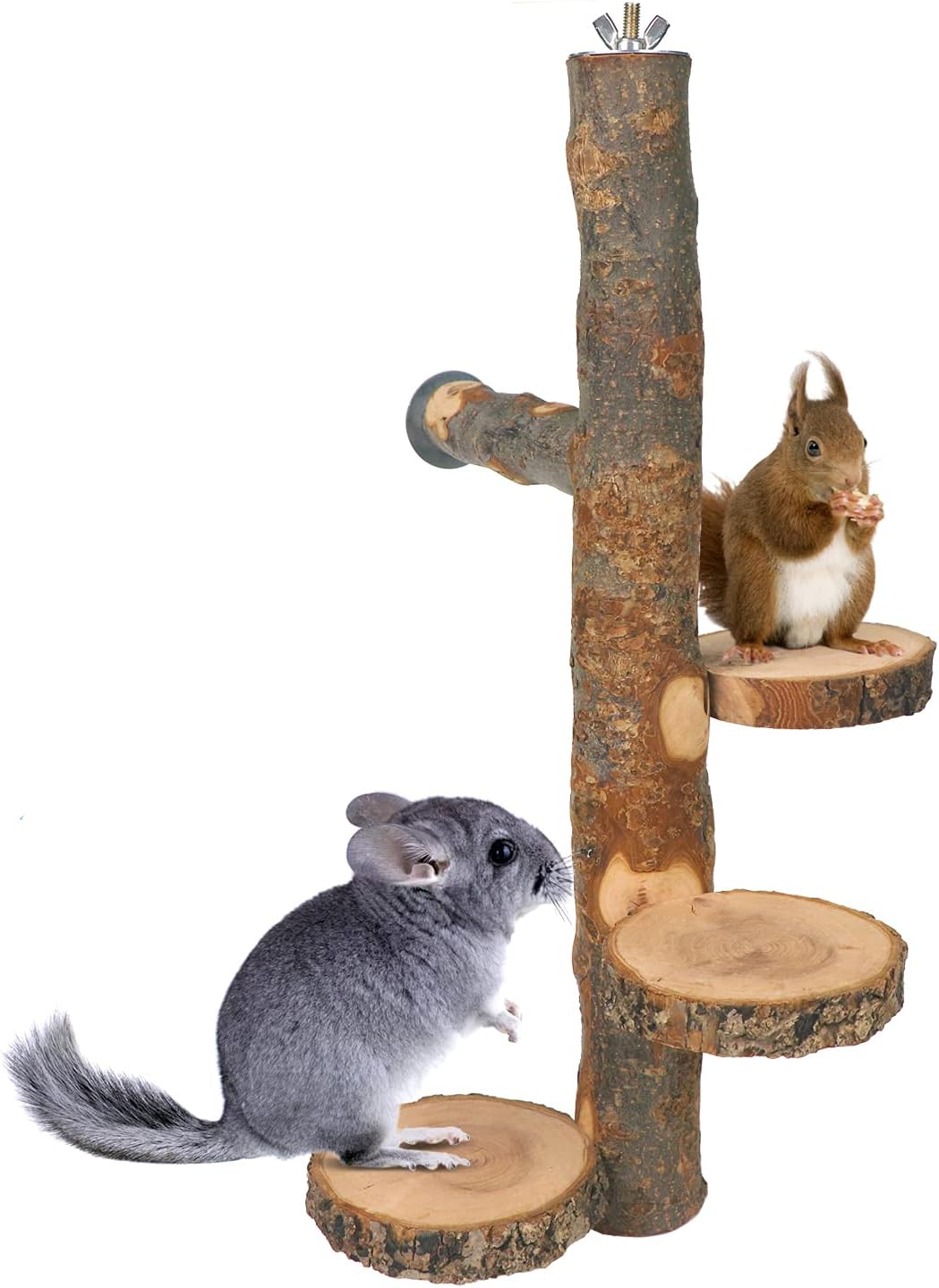 Chinchilla – Plataforma giratoria de madera colgante grande  Plataforma de pie de madera de fruta natural para animales pequeños  Plataforma