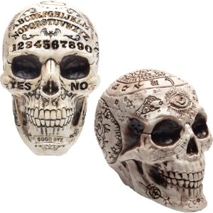 Tabla de calaveras del zodiaco y el espíritu de Halloween, paquete de 2, escultura de esqueleto de cabeza humana de 7 x 6.5 pulgadas, decoración de Tabla de calaveras del zodiaco y el espíritu de Halloween, paquete de 2, escultura de esqueleto de cabeza humana de 7 x 6.5 pulgadas, decoración de