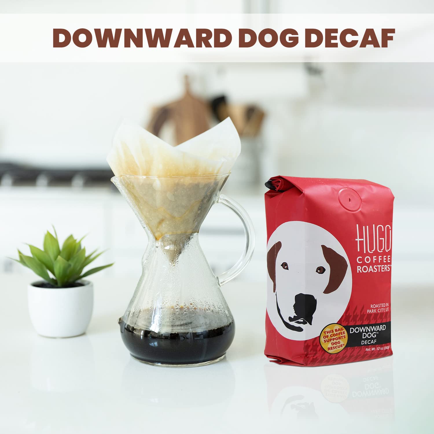 Hugo Coffee – Café descafeinado para perros con sabor orgánico almizclado, pan con plátano, sabores de caramelo y cacao, Hugo apoya los rescates de
