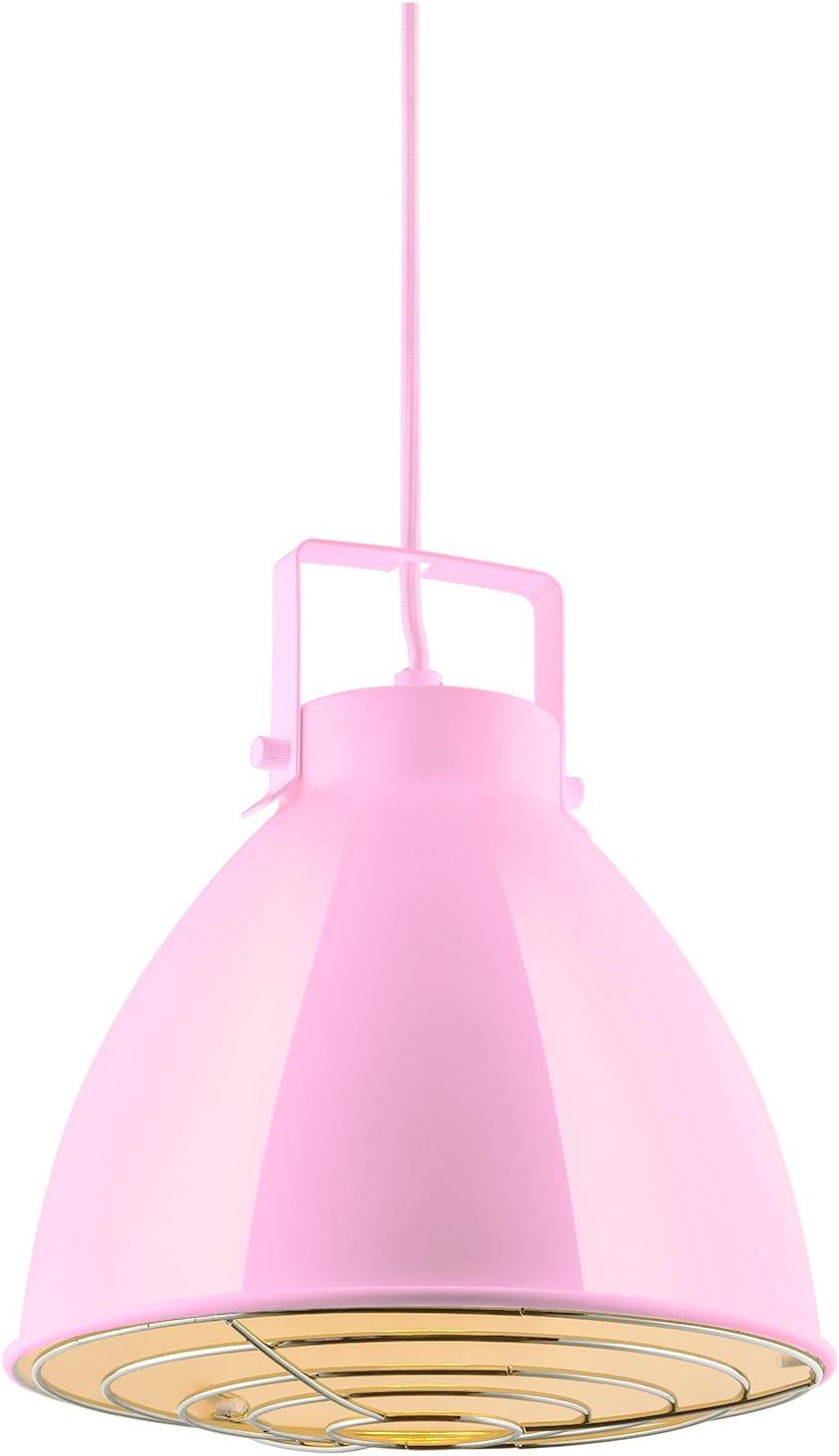 Sunlite 88753 Zed – Lámpara colgante decorativa de 10 pulgadas, base media (E26), bombilla máxima de 60 W (no incluida), cable de longitud ajustable